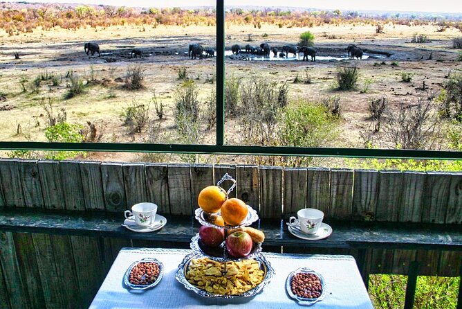 High Tea in the Savannah, Catering by Victoria Falls Hotel - Key points at a glance