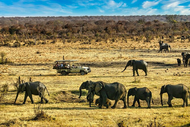 High Tea in the Savannah, Catering by Victoria Falls Hotel - Who should book this experience