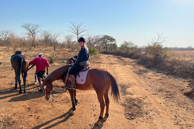 Horse Riding Community Village Tour Experience - Why the sunrise timing matters