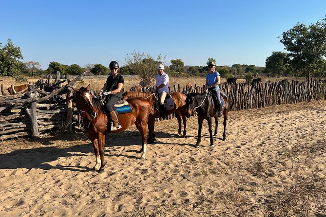 Horse Riding Community Village Tour Experience - Safety, comfort, and the horse welfare question
