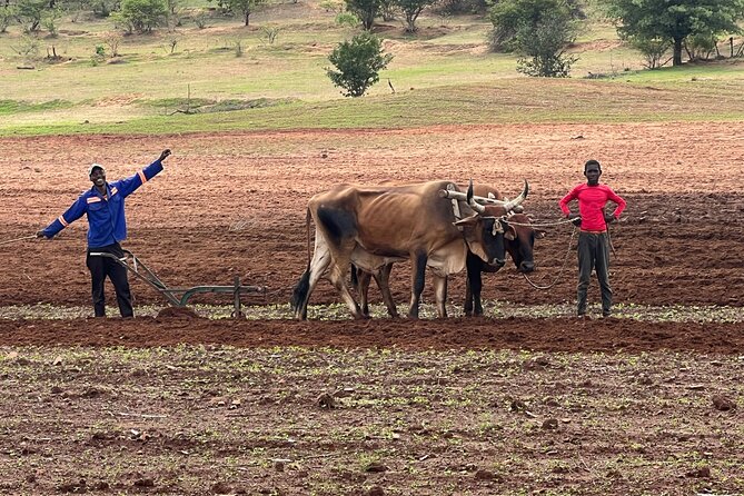 Horse Riding Community Village Tour Experience - Who will enjoy this ride most