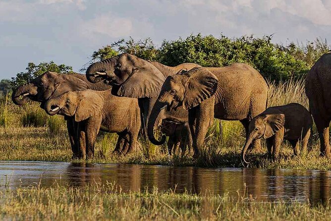 Hwange Day Trip - Why Hwange makes a worthwhile day from Victoria Falls
