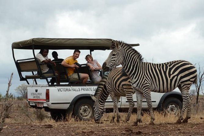 Hwange Day Trip - What the $200 price really covers