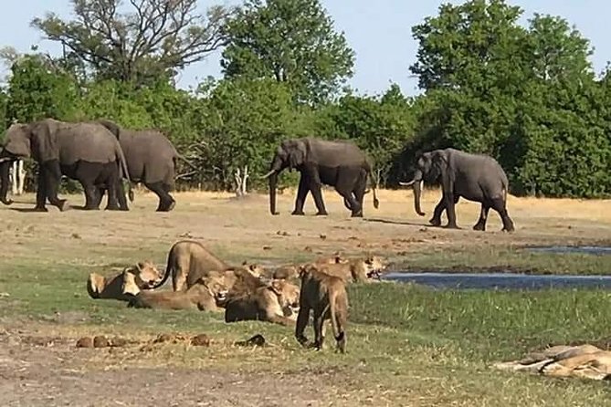 Hwange Day Trip - Group size, comfort, and physical demands