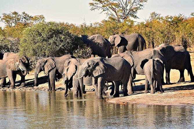 Hwange Day Trip - Arriving at the lodge and preparing for the first drive