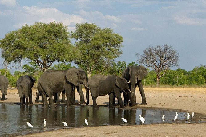 Hwange National Park 3 Days Package - Why Hwange works well from Victoria Falls