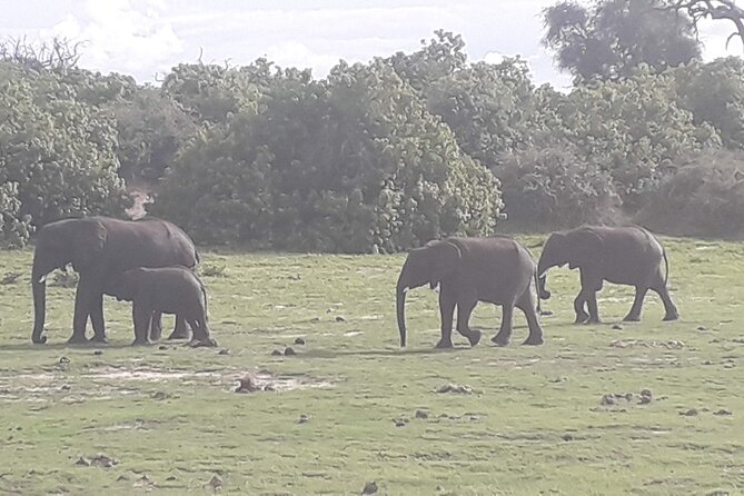 Hwange National Park 3 Days Package - Service, communication, and group size