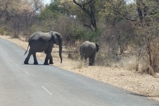 Hwange National Park 3 Days Package - Day one: the two-hour road to Hwange