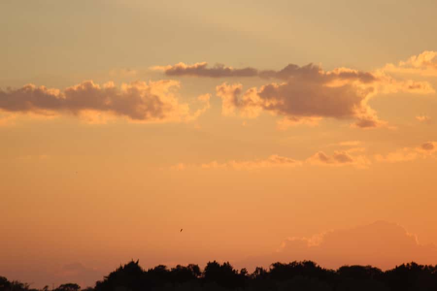 Hwange National Park Day Trip from Victoria Falls - Why Make the Trip From Victoria Falls?