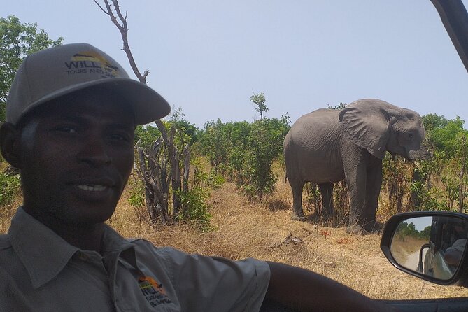 Hwange National Park Full Day Trip - Lunch inside the park from noon to 1:00 PM