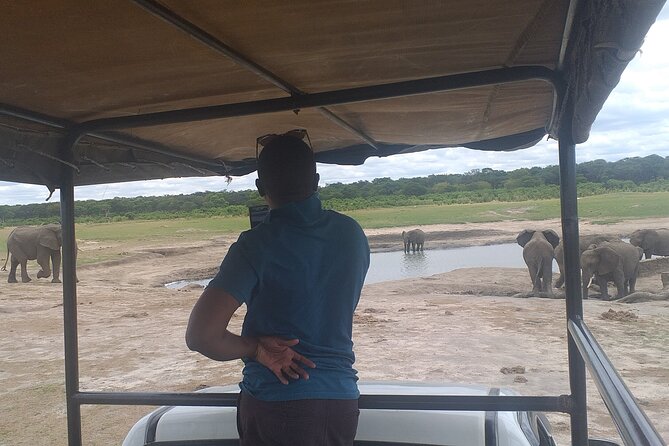 Hwange National Park Full Day Trip - What the small group size changes