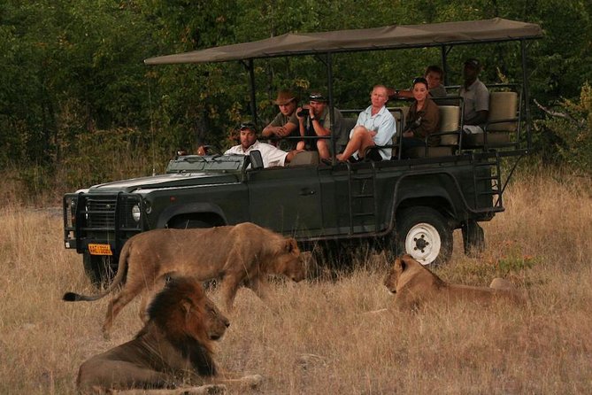 Hwange (Safari) Day Trip from Victoria Falls - The 6:00 am departure from Victoria Falls