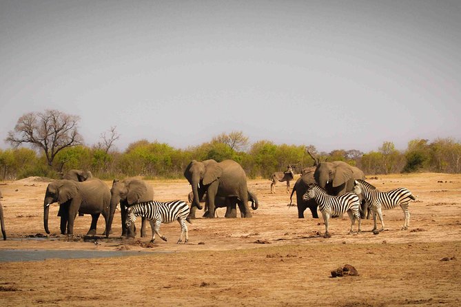 Hwange (Safari) Day Trip from Victoria Falls - Entering Hwange National Park in an open-air vehicle