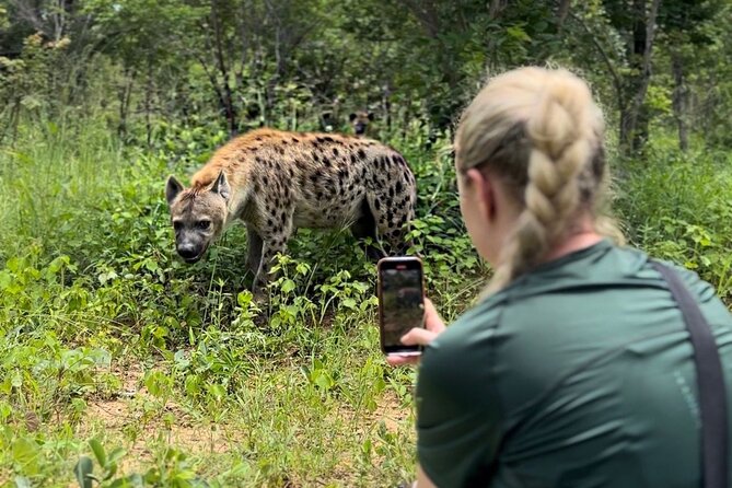 Lion & Wildlife Sanctuary Excursion Victoria Falls - Key points at a glance