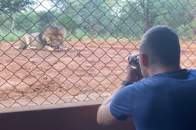 Lion & Wildlife Sanctuary Excursion Victoria Falls - Ostriches, raptors, sable, and rescued animals