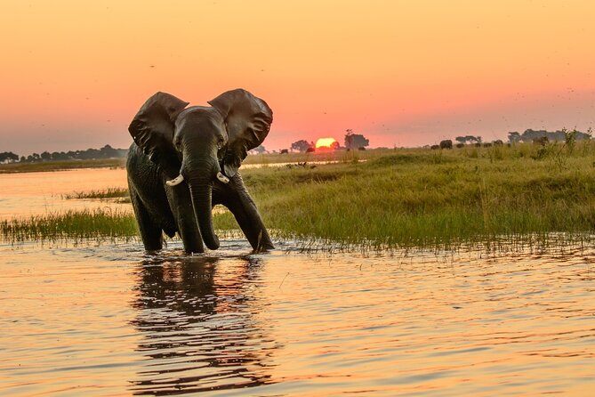 Luxury Sunset River Cruise on the Zambezi - Service, music, and the feel of the outing