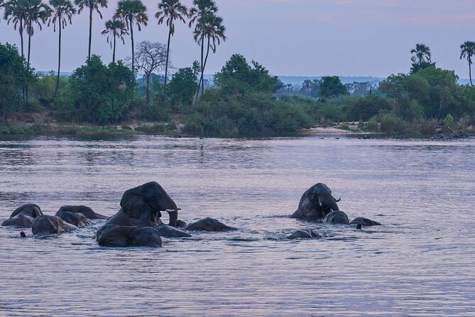 Luxury Zambezi Sunset Game Cruise - Hors d’oeuvres, cocktails, and the premium package