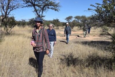 Matobo Rhino Encounter