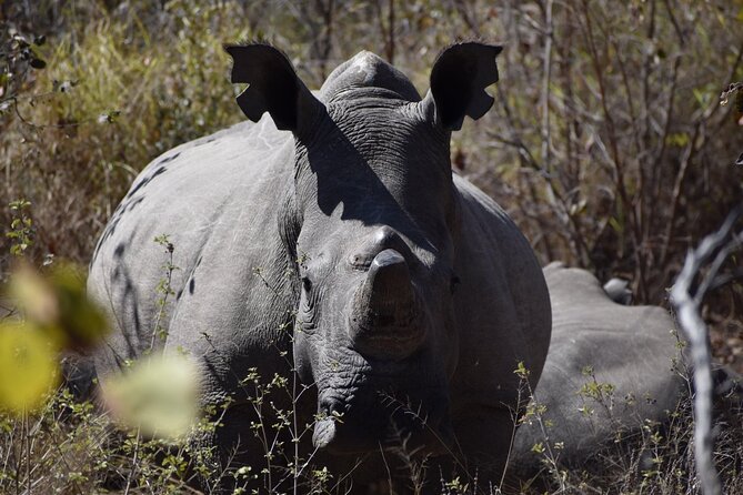 Matobo Rhino Encounter - Lunch, refreshments, and the sunset finish