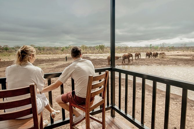 Moments with Elephants - Watching elephants at the waterhole