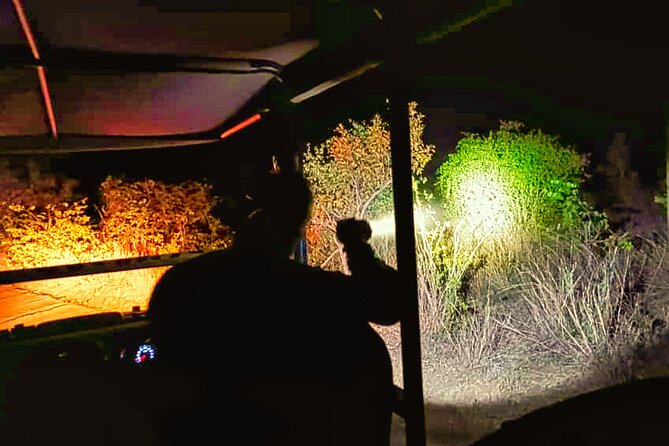 Moonlight Experience and Stargazing close to Victoria Falls - How the two hours are likely to feel