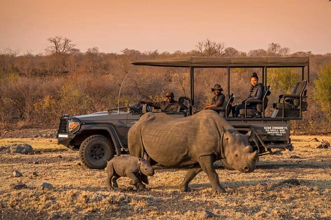 Morning or Afternoon Game Drive In Victoria Falls - Key points to know before you book