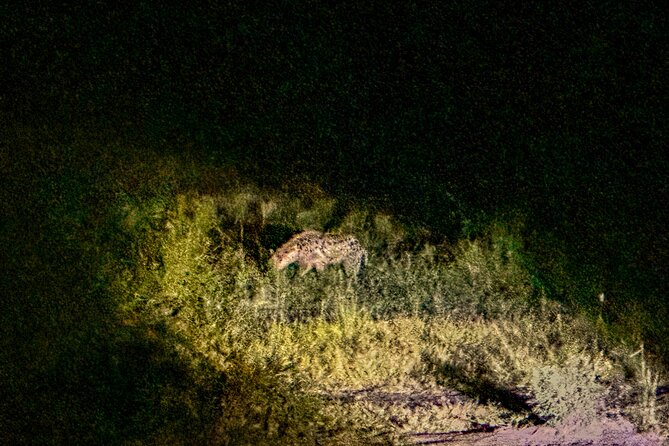 Night Game Drive in Zambezi National Park and Victoria Falls - Family Fit and Practical Comfort