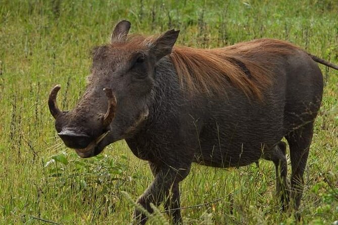 Private Guided Tour in Victoria Falls - Sixteen viewpoints and four kilometers of changing views