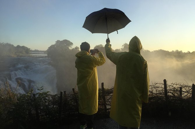 Private Guided Tour of the Falls with Pickup - Who should choose this private visit
