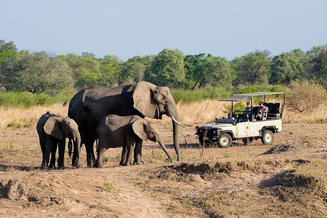 Safari Game Drive in Zambezi National Park with Hotel Pickup - Why this short Zambezi drive is worth considering