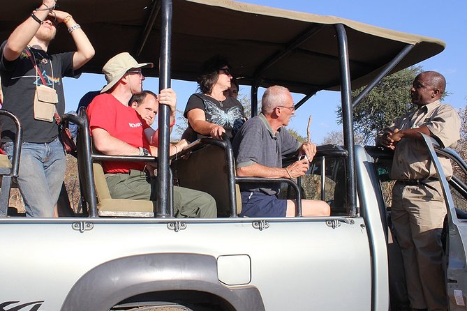 Safari Game Drive in Zambezi National Park with Hotel Pickup - Afternoon drive: drinks, snacks, and a slower finish