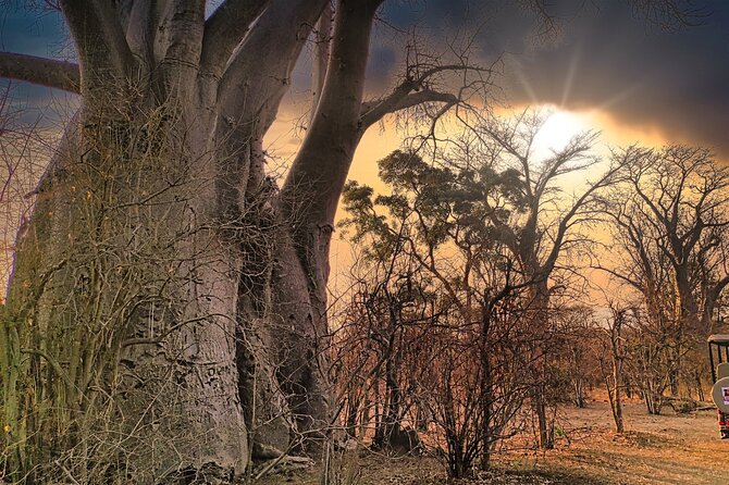 Safari in Victoria Falls and Zambezi National Park - Why this safari makes sense from Victoria Falls