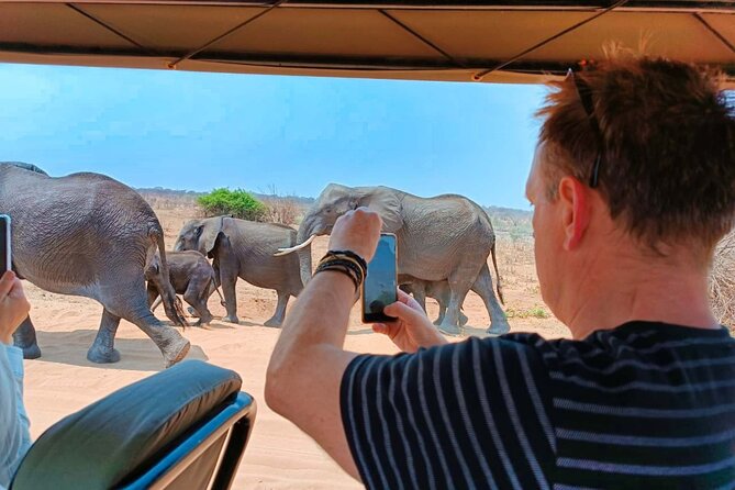 Safari in Victoria Falls and Zambezi National Park - What wildlife you might see