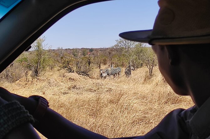 Safari in Victoria Falls and Zambezi National Park - Early morning, mid-morning, or afternoon?