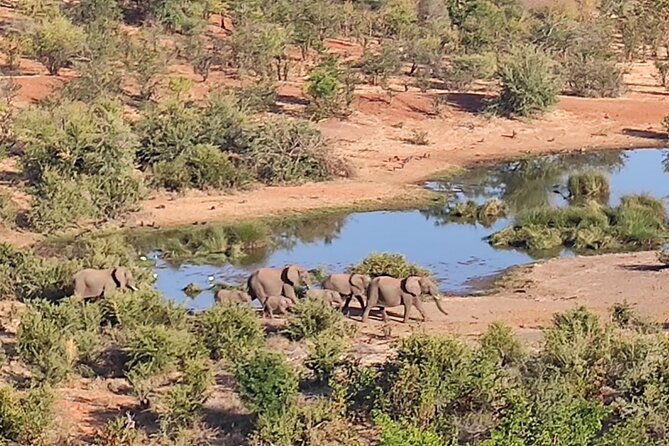 Safari in Victoria Falls and Zambezi National Park - The $119 price and the extra $20 park fee