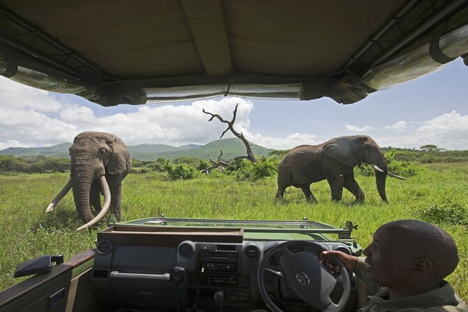 Small Group: Zambezi National Park Guided Game Drive - Guides who make the difference