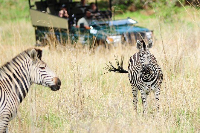 Small Group: Zambezi National Park Guided Game Drive - Who will enjoy this drive most?