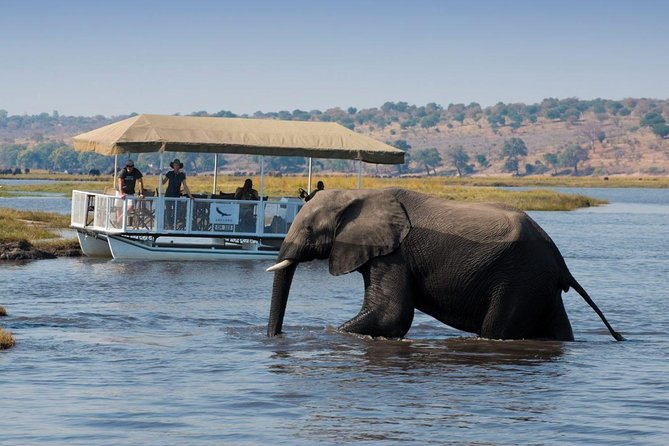 Standard Sunset Cruise - Key points before you book