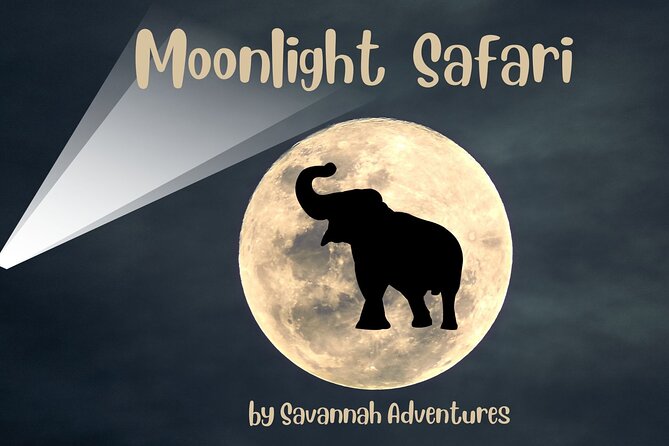 Stargazing and Moonlight Experience - Key points at a glance