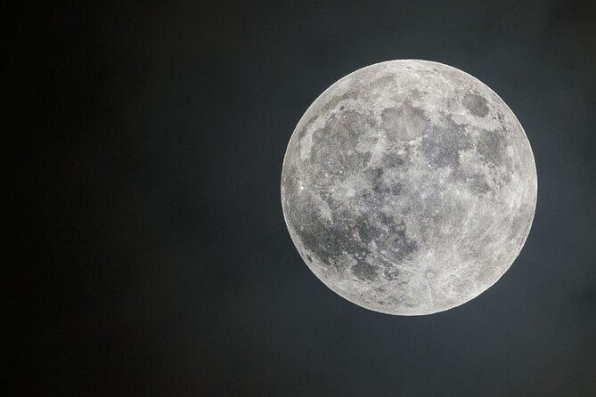 Stargazing and Moonlight Experience - Wildlife sightings can make the evening special