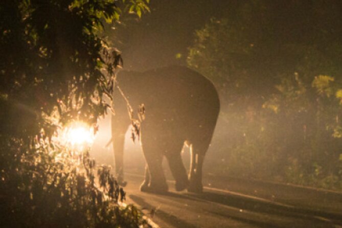 Stargazing and Moonlight Experience - Beginning at 7:00 pm in Victoria Falls