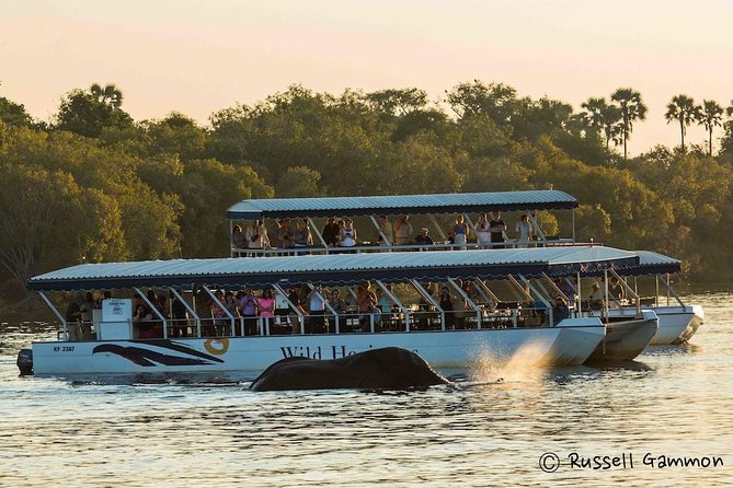 Sundowner Cruise on Zambezi River (Zimbabwe) - Key things to know before booking