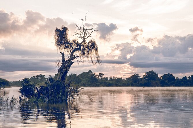 Sunrise Cruise on the Zambezi River - Birds, captains, and the quiet parts of the ride