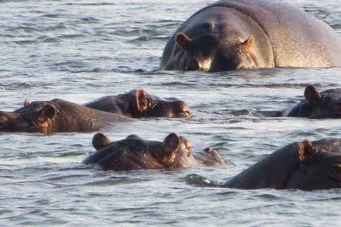 Sunset Cruise & Guided Falls Tour Combo - Why this two-day pairing works at Victoria Falls