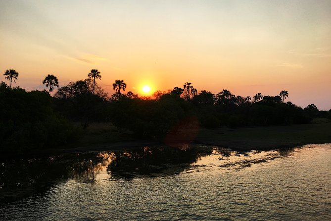 Sunset Cruise Wildlife Watching Experience at Zambezi River - Why a Zambezi sunset cruise fits so well after Victoria Falls