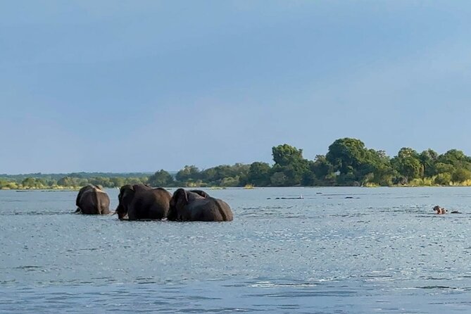 Sunset Cruises on the Zambezi River from Victoria Falls - Choosing the upper or lower deck