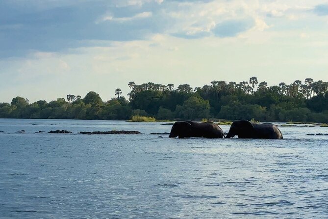 Sunset Cruises on the Zambezi River from Victoria Falls - Sunset over the Zambezi