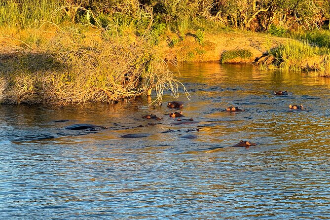 Sunset Cruises on the Zambezi River from Victoria Falls - Ndebele songs at the river entrance