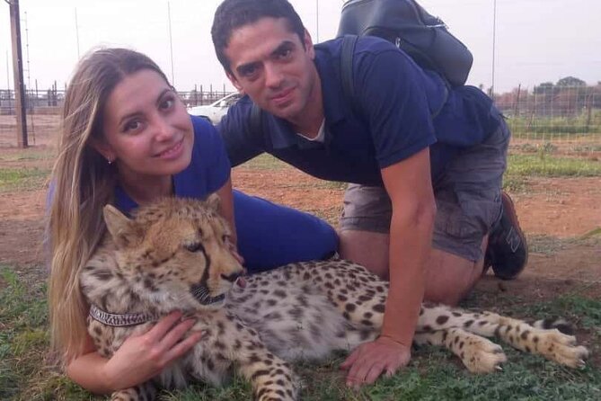 The Cheetah Experience - What the Guides Teach You