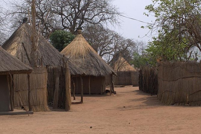 Traditional Village Tour In Victoria Falls - The guide can shape the whole visit